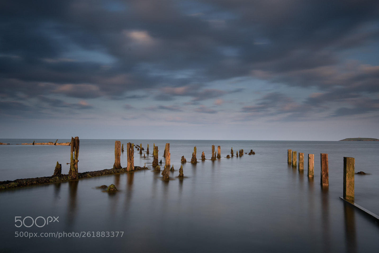 Nikon D750 sample photo. Pilmore groynes 2018/06 photography