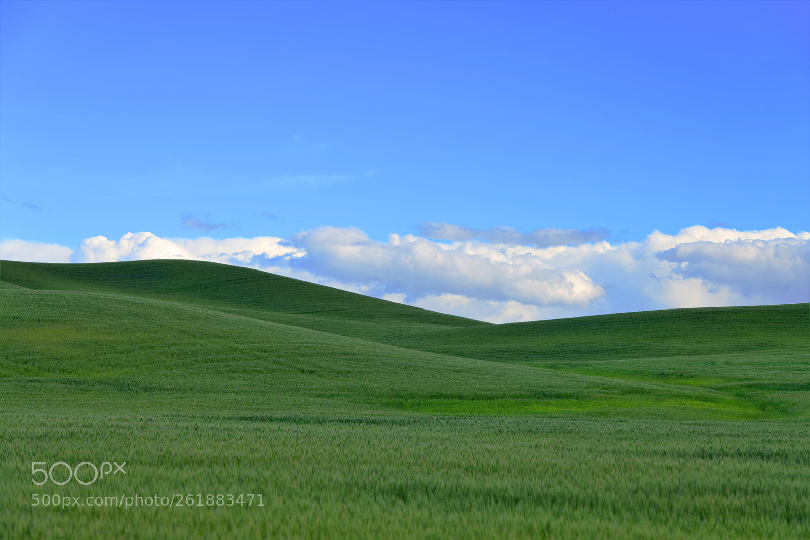 Nikon D850 sample photo. () photography