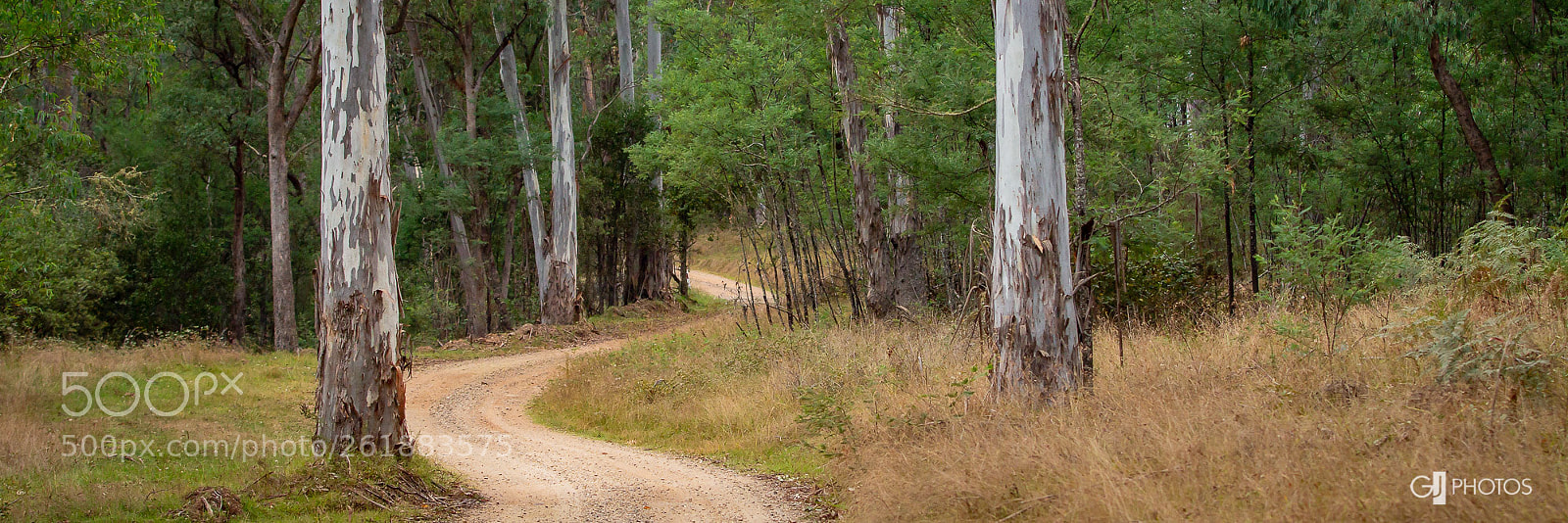 Canon EOS 60D sample photo. Winding track photography