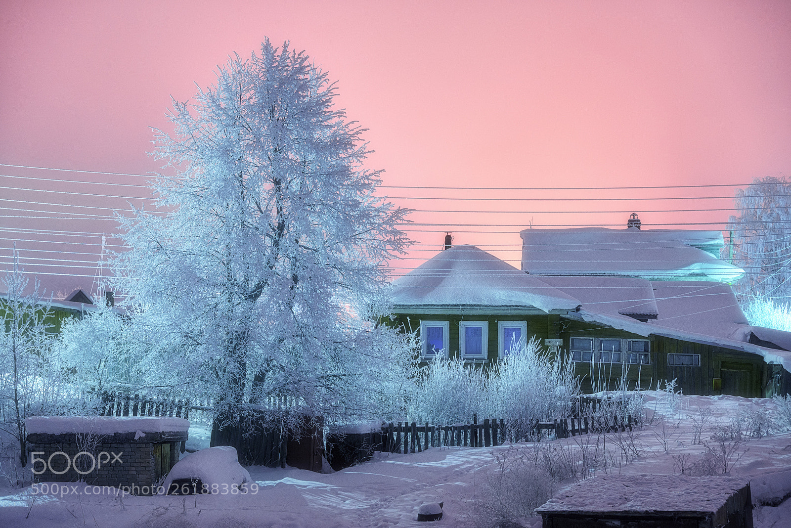 Nikon D610 sample photo. 939. bright evening ix photography
