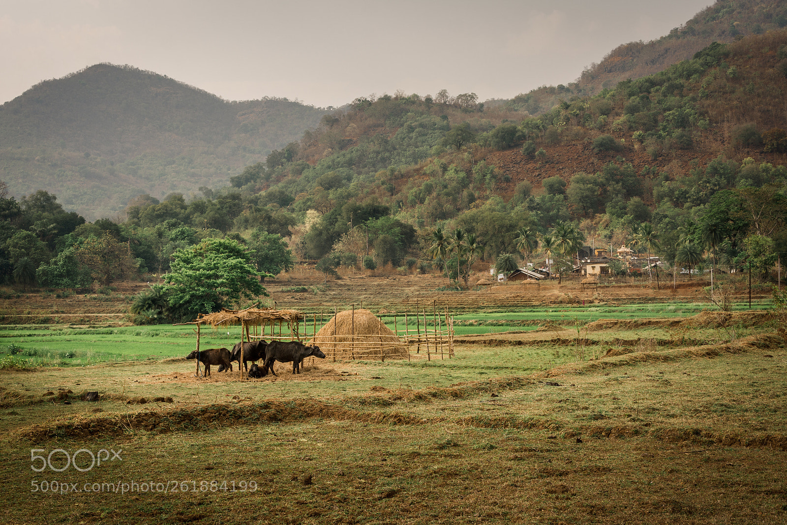 Nikon D7100 sample photo. Travel and landscapes photography