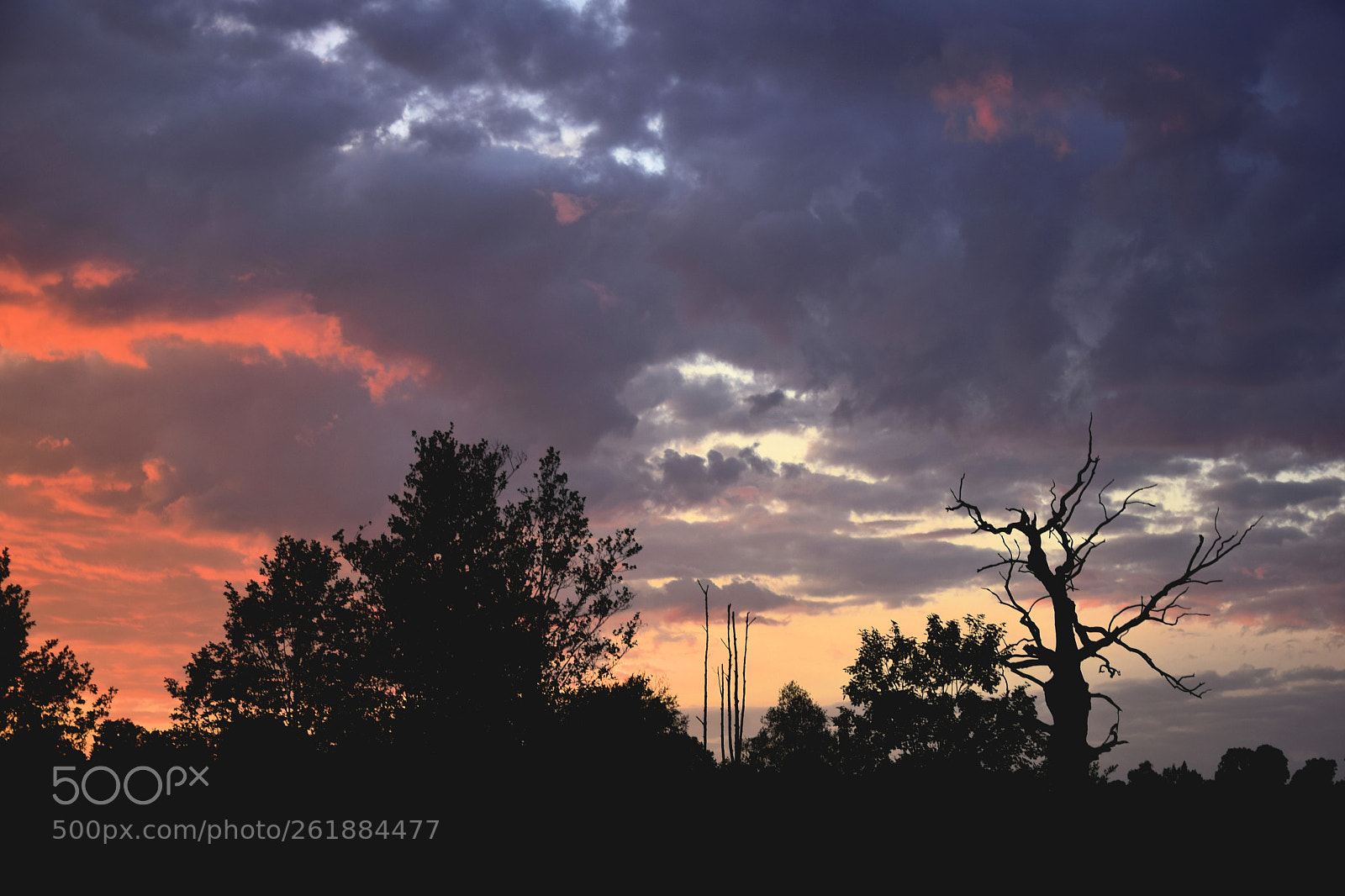 Nikon D3300 sample photo. After the storm photography