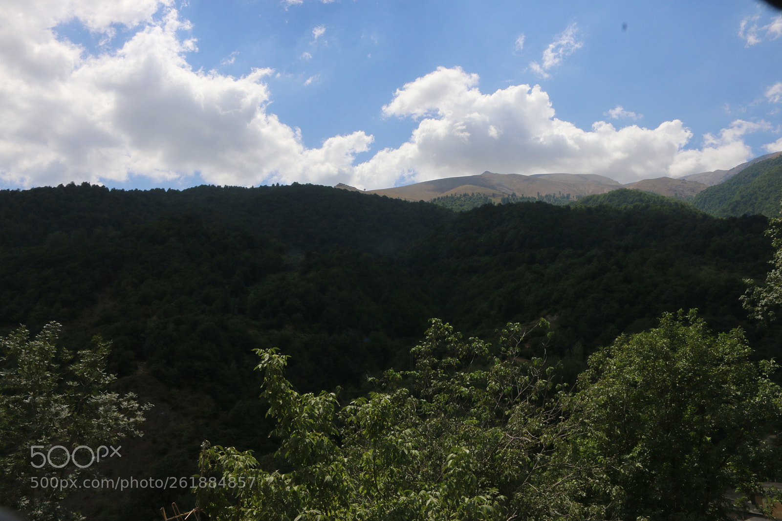 Canon EOS 70D sample photo. Img photography