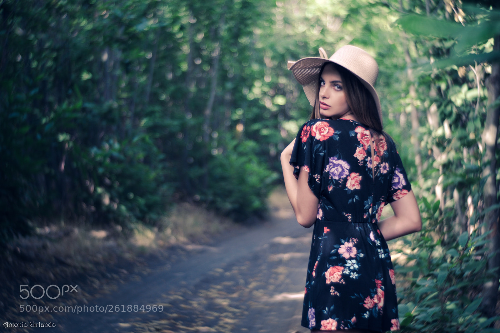 Fujifilm X-Pro2 sample photo. Summer in the woods photography