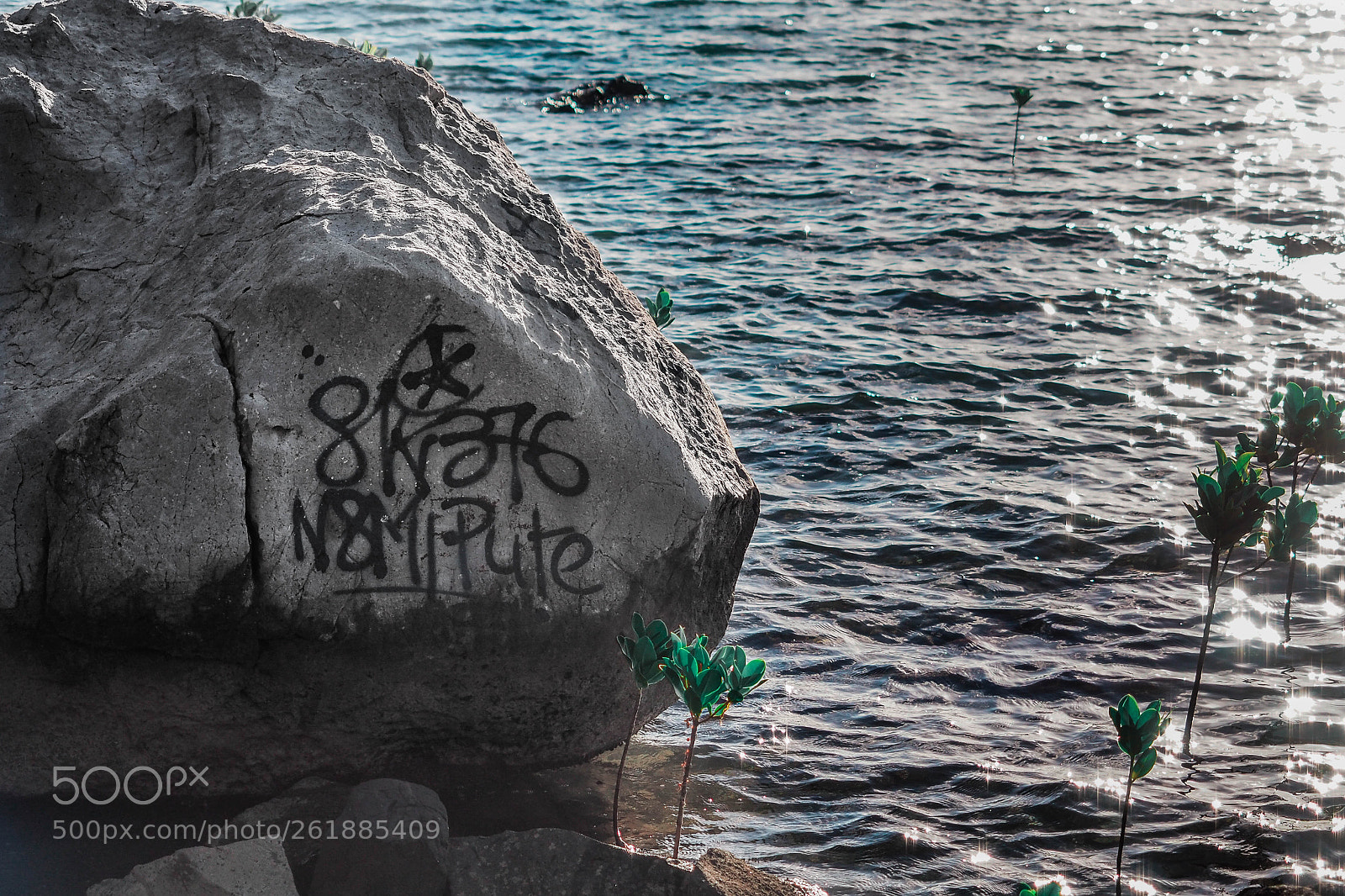 Olympus OM-D E-M10 II sample photo. Undesirable art photography