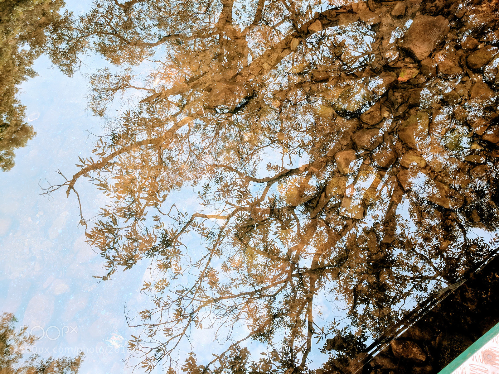Google Pixel sample photo. Reflex photography