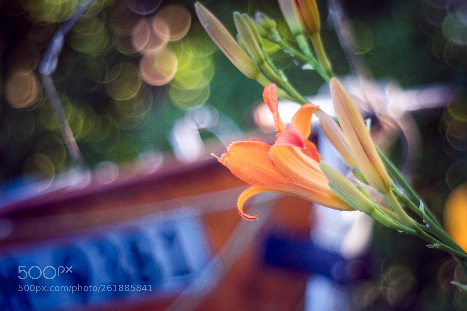 Fujifilm X-T2 sample photo. Meyer optik go rlitz photography