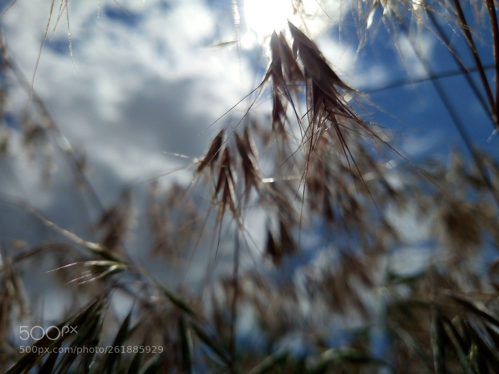 Meizu M5s sample photo. Skylight photography