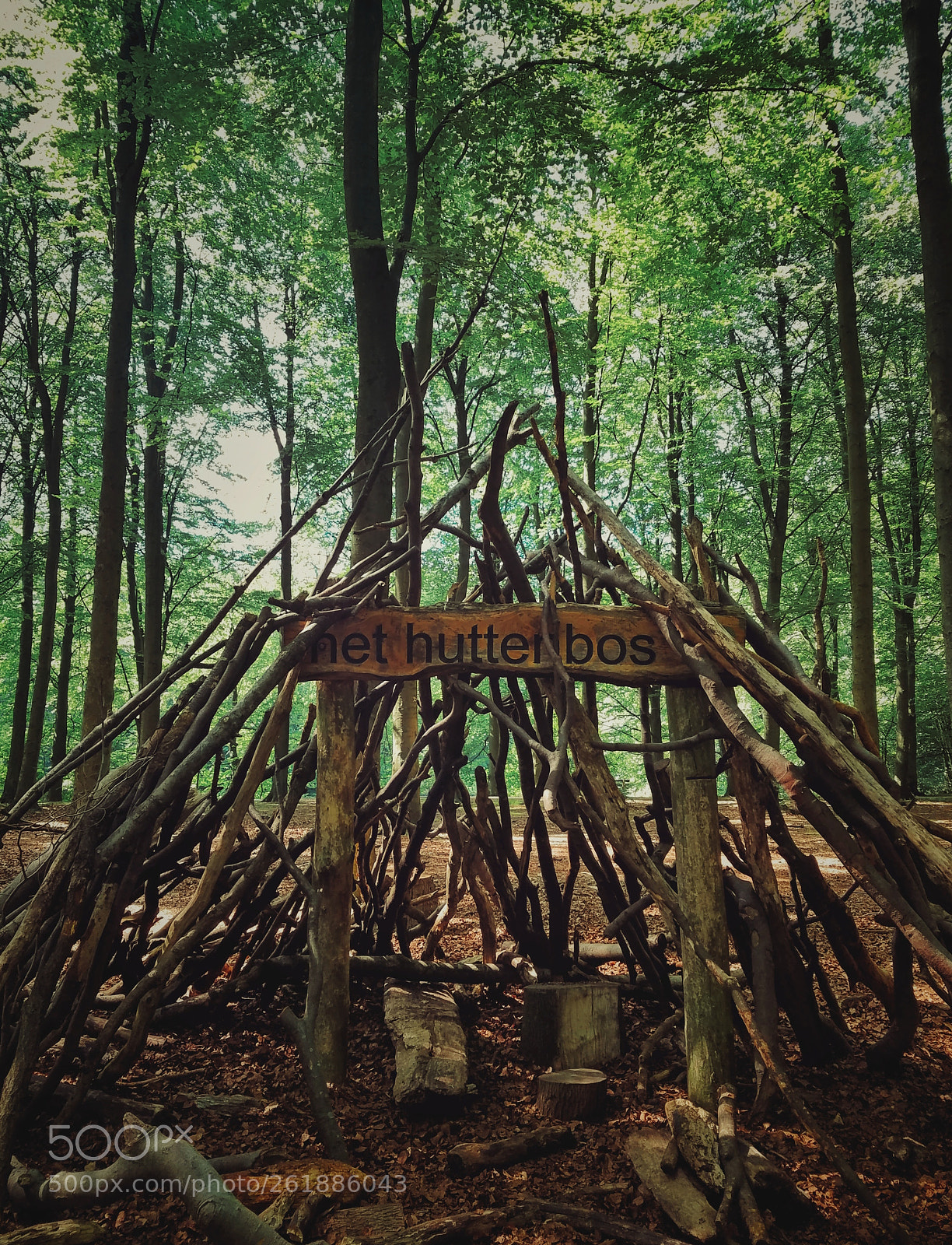 Samsung Galaxy S7 sample photo. Into the woods! photography