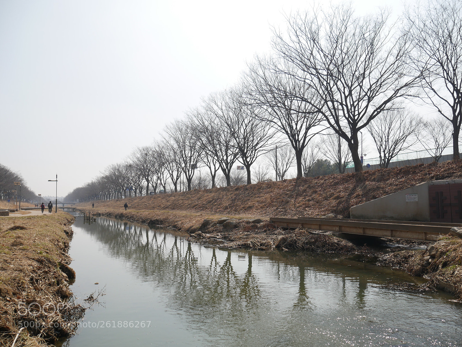 Panasonic Lumix DMC-G7 sample photo. Winter trees photography