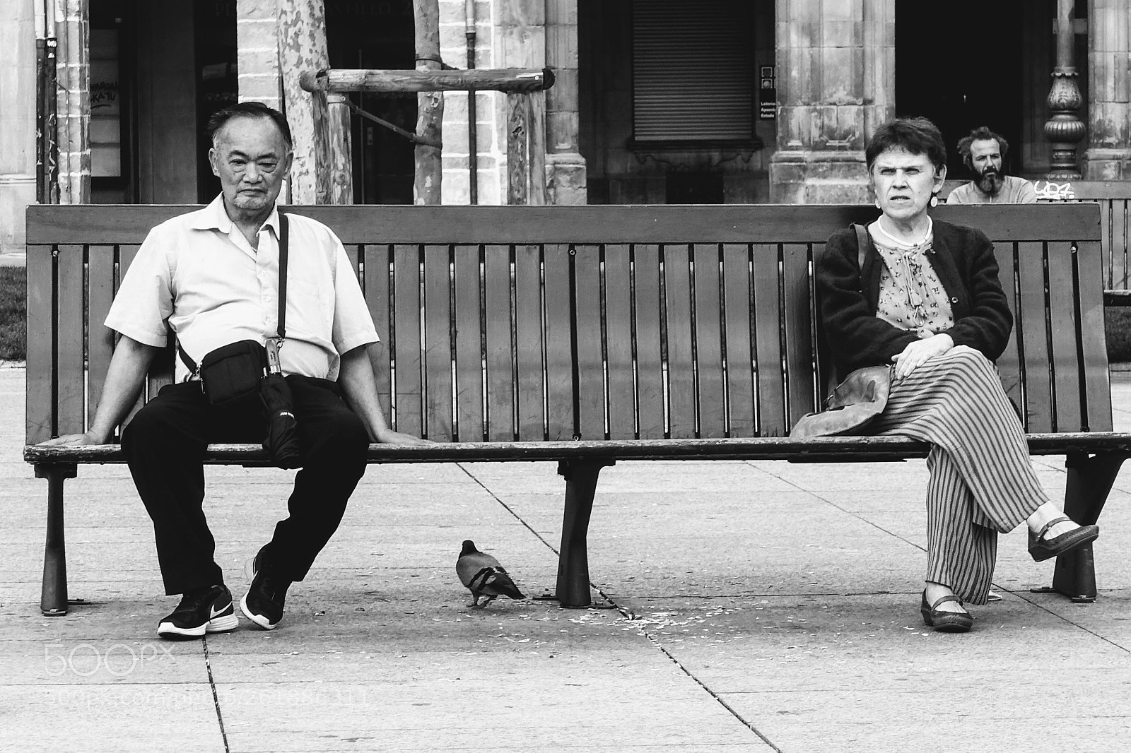 Sony DSC-RX100M5 sample photo. Resting in the park photography