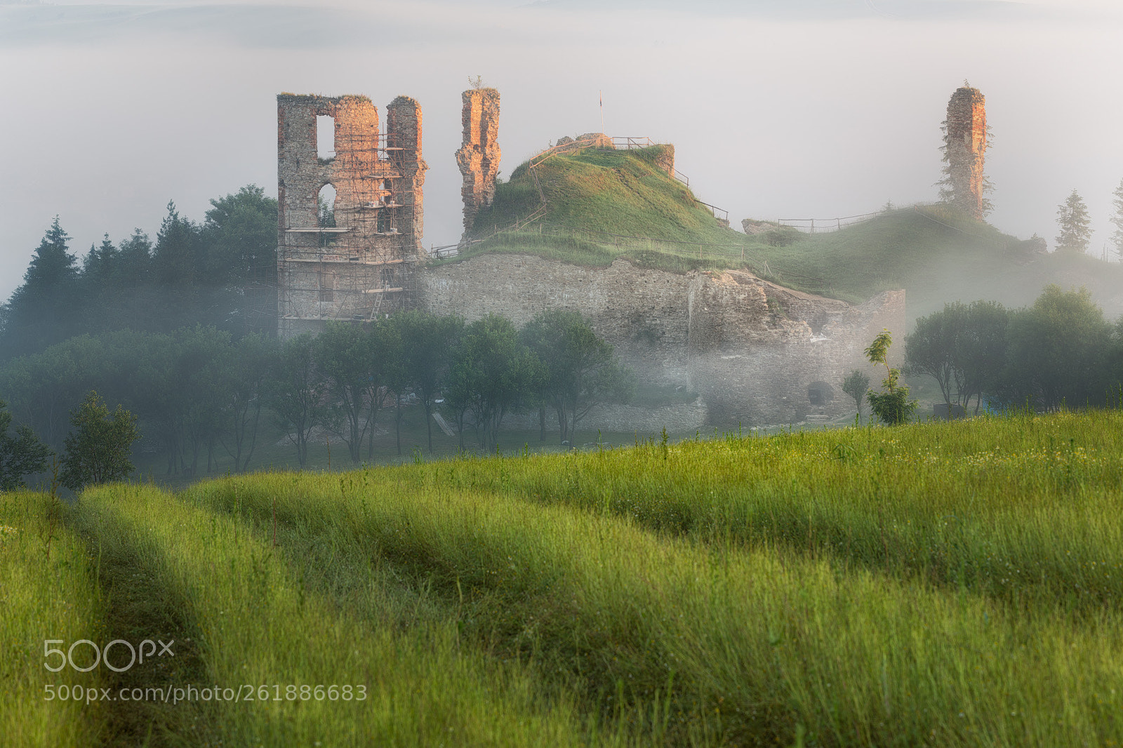 Canon EOS 6D sample photo. Foggy photography