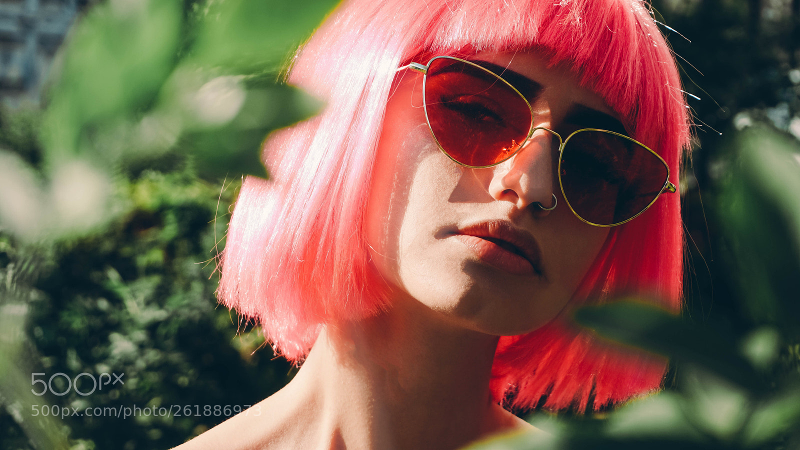 Sony a6300 sample photo. P!nk photography