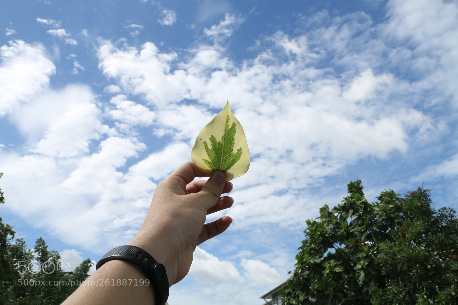 Canon EF-S 17-55mm F2.8 IS USM sample photo. Untitled photography