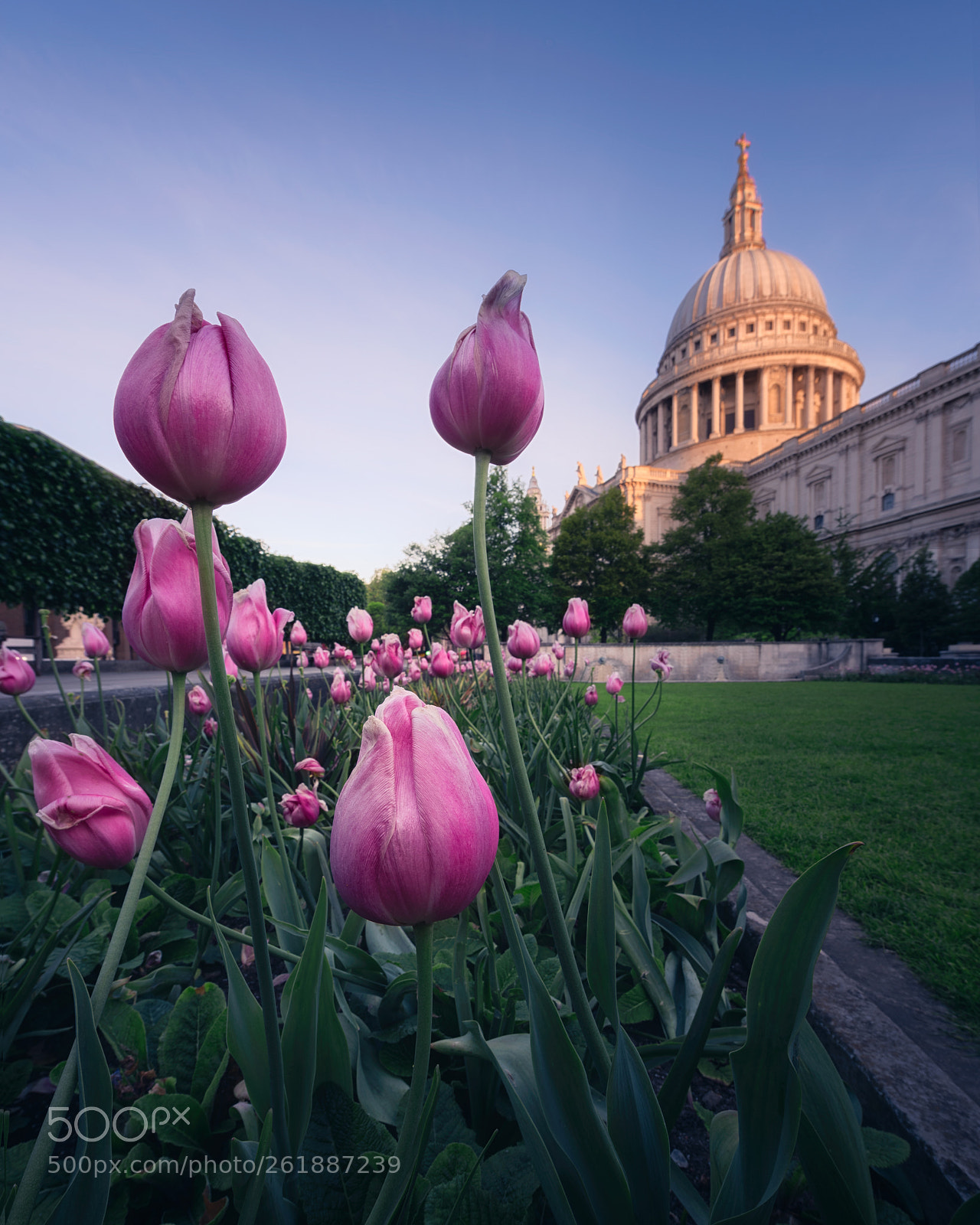 Nikon D810 sample photo. Spring light photography