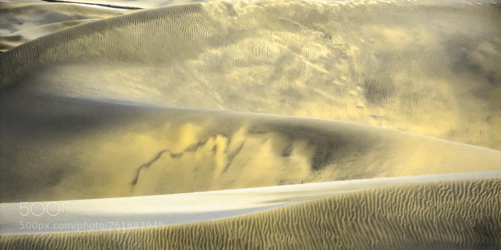 Sony DSC-W270 sample photo. Sand dunes scars&scratches photography