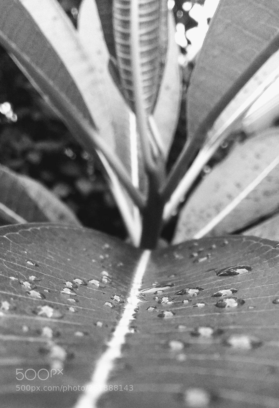 Motorola Moto G (5th Gen) sample photo. Untitled photography