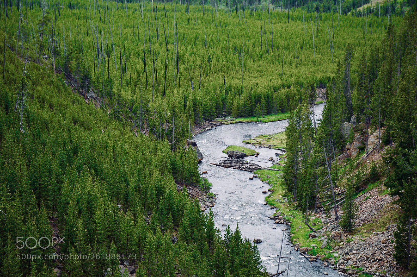 Nikon D3200 sample photo. National park forest photography