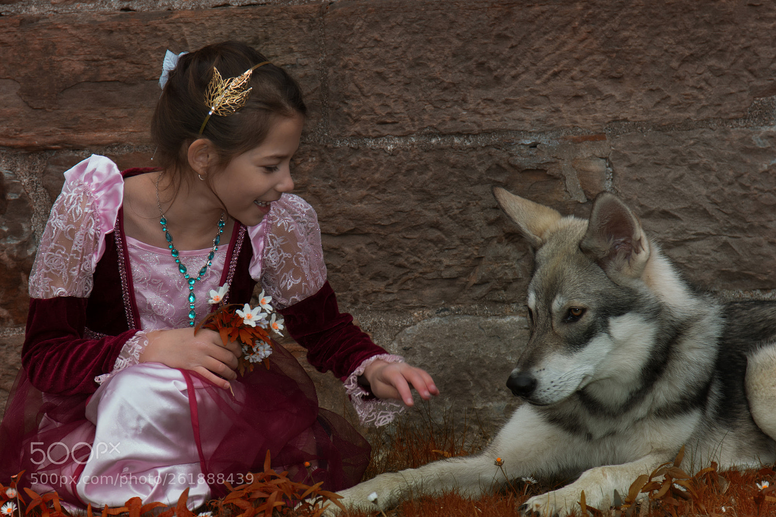 Canon EOS 7D Mark II sample photo. Wolfprincess 24 photography