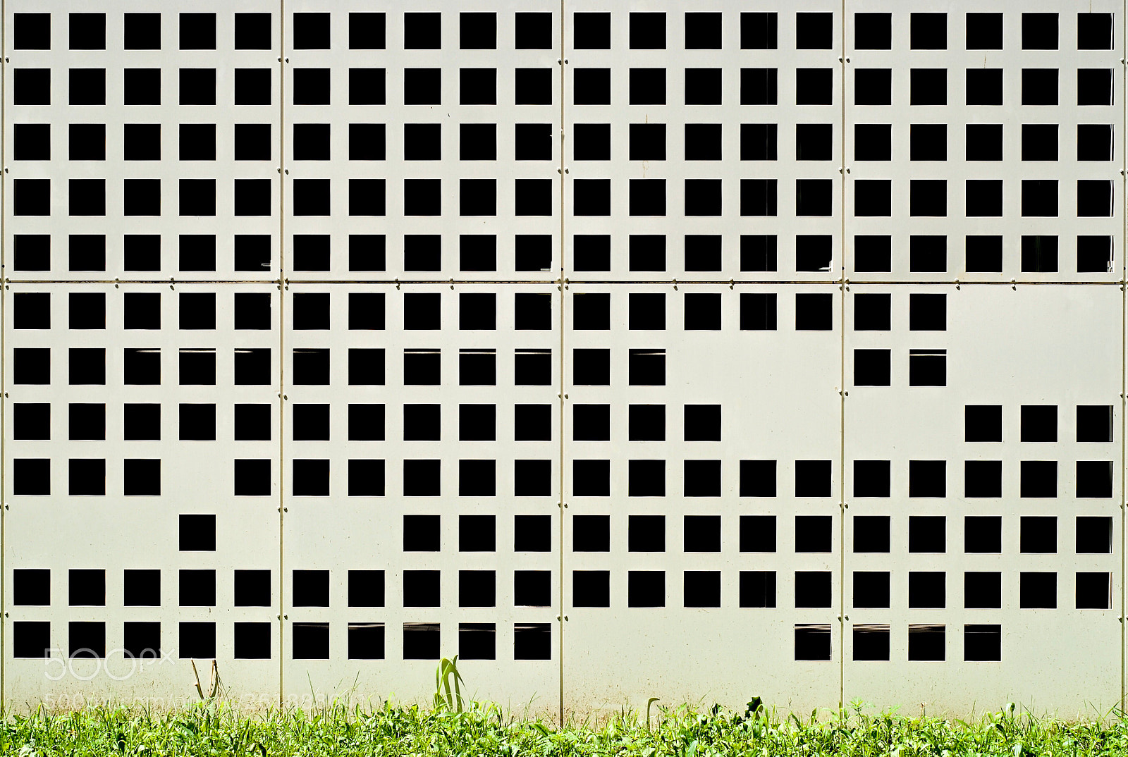 Nikon D200 sample photo. Cell structure on a photography