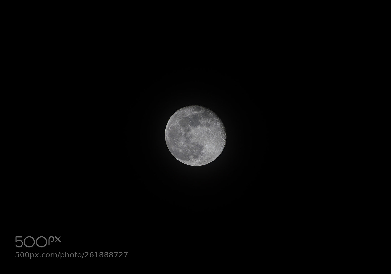 Nikon D500 sample photo. Near full moon photography