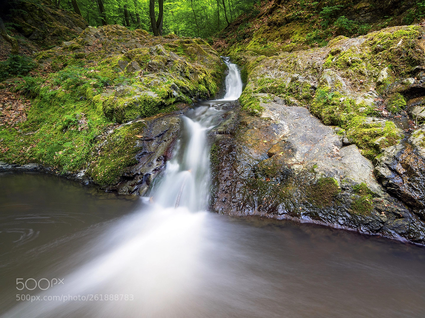 Nikon D5500 sample photo. Creek photography