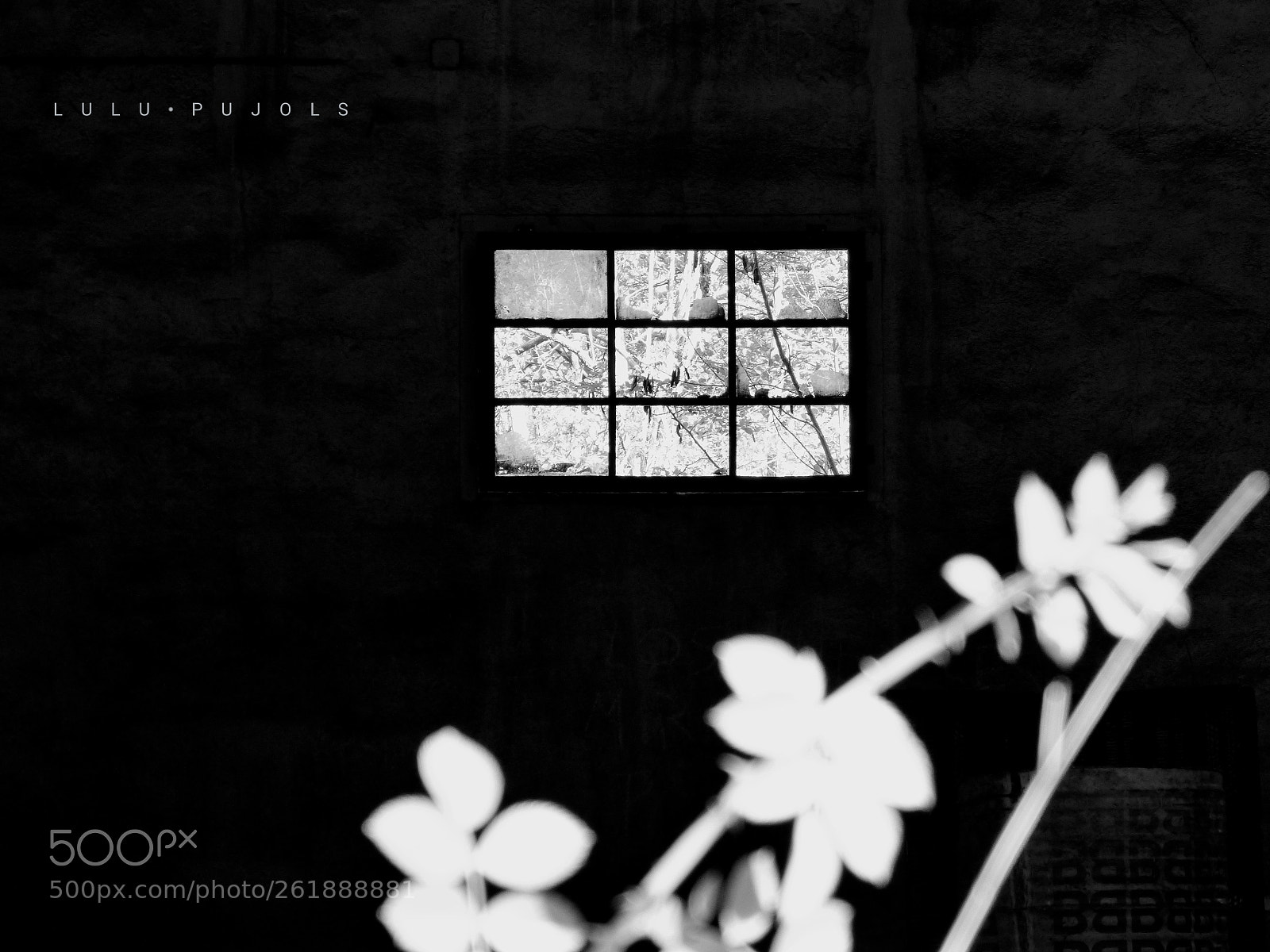 Panasonic DMC-FZ62 sample photo. Llum photography