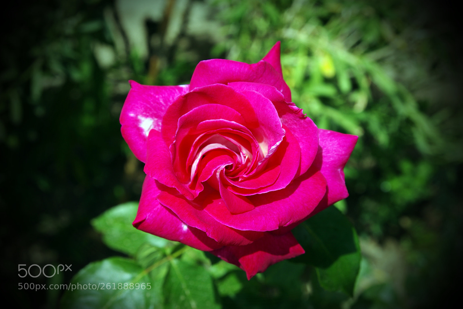 Pentax K-5 sample photo. Bah emizden bir g photography