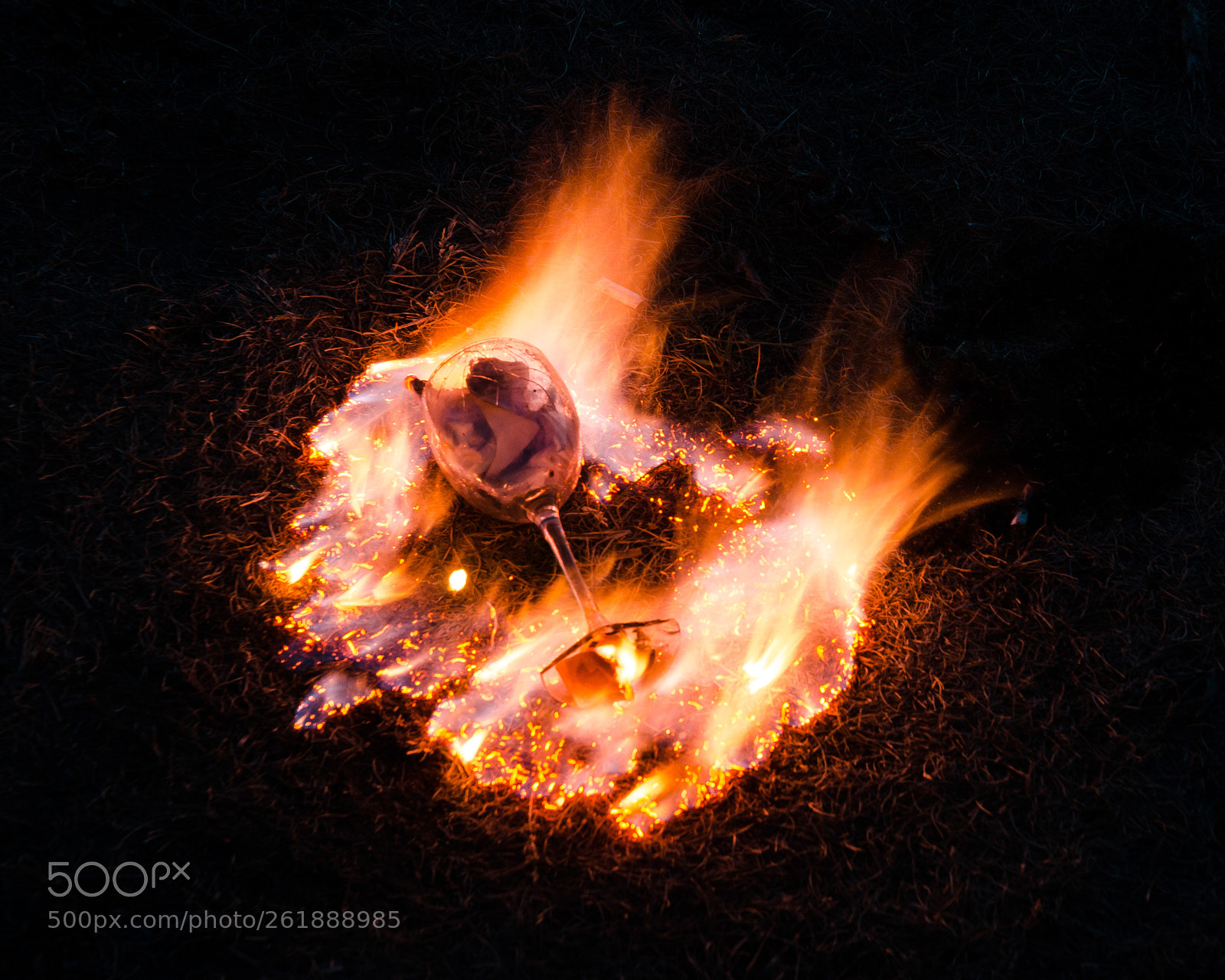 Nikon D7000 sample photo. Fire goblet. june 2018 photography