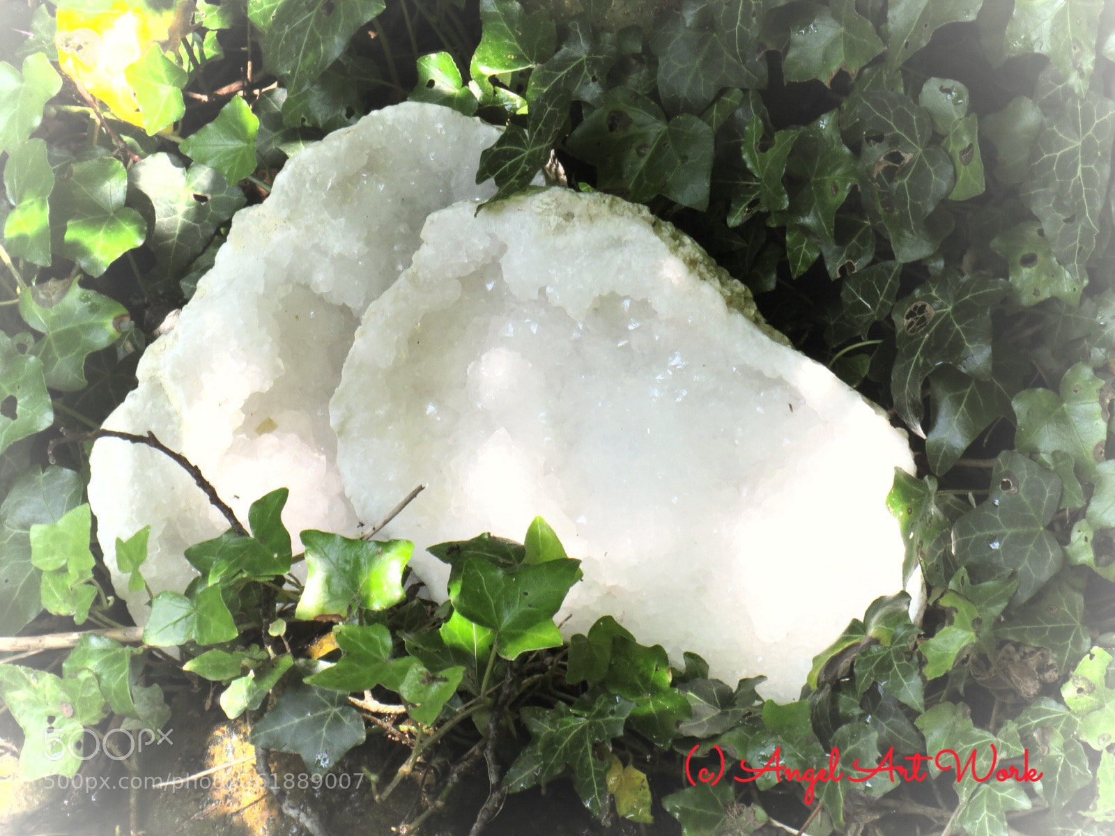 Canon PowerShot SX540 HS sample photo. Untitled photography