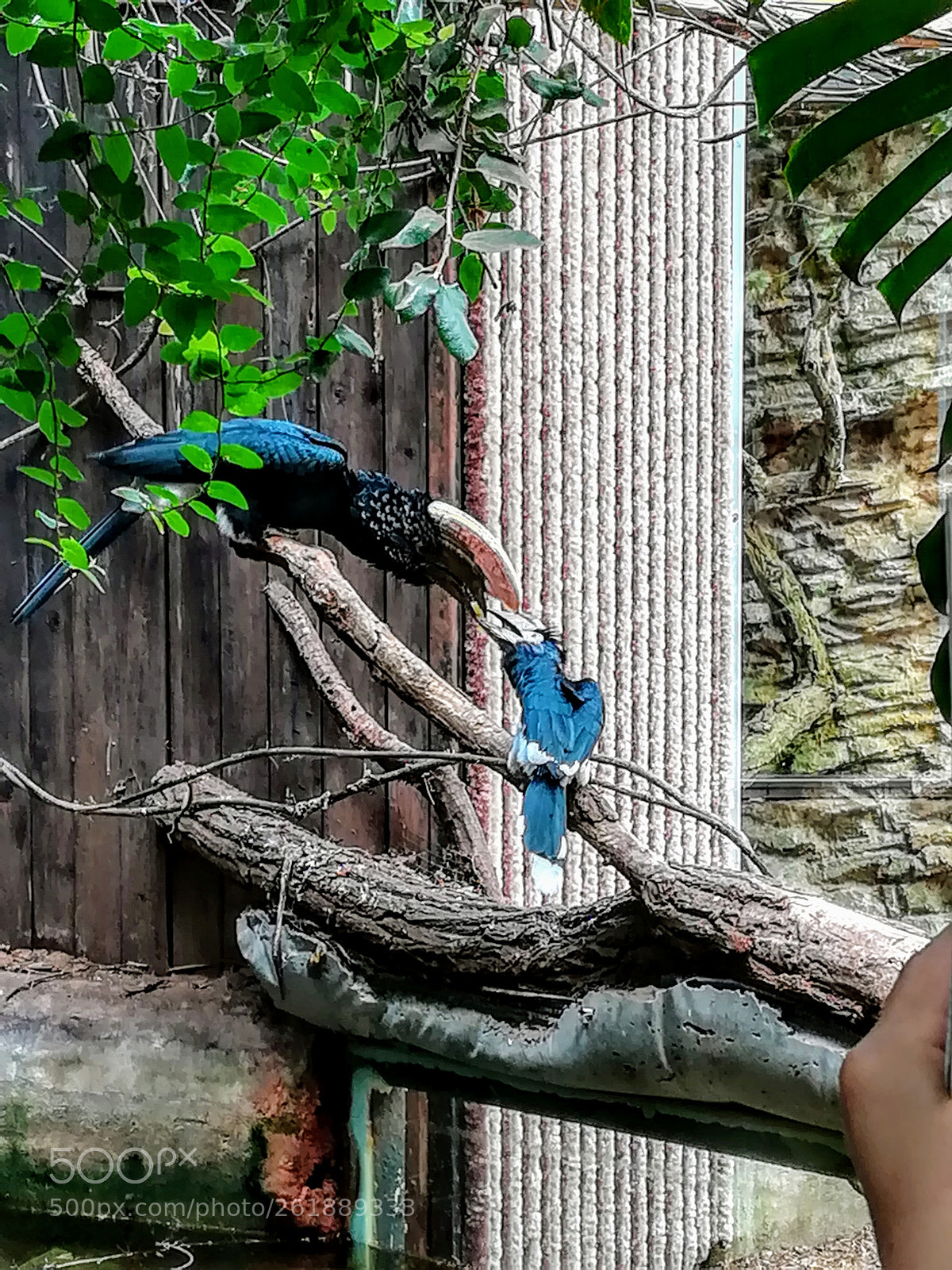 HUAWEI PRA-LX1 sample photo. Untitled photography