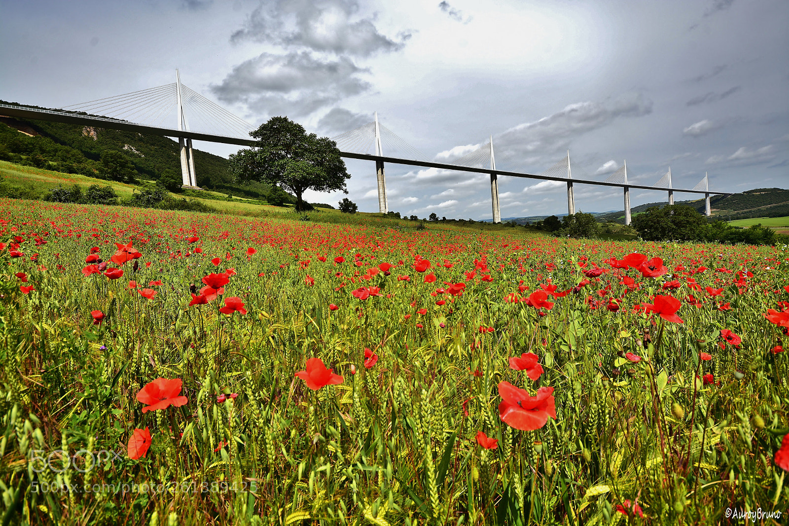 Sigma 10-20mm F4-5.6 EX DC HSM sample photo. Dsc photography