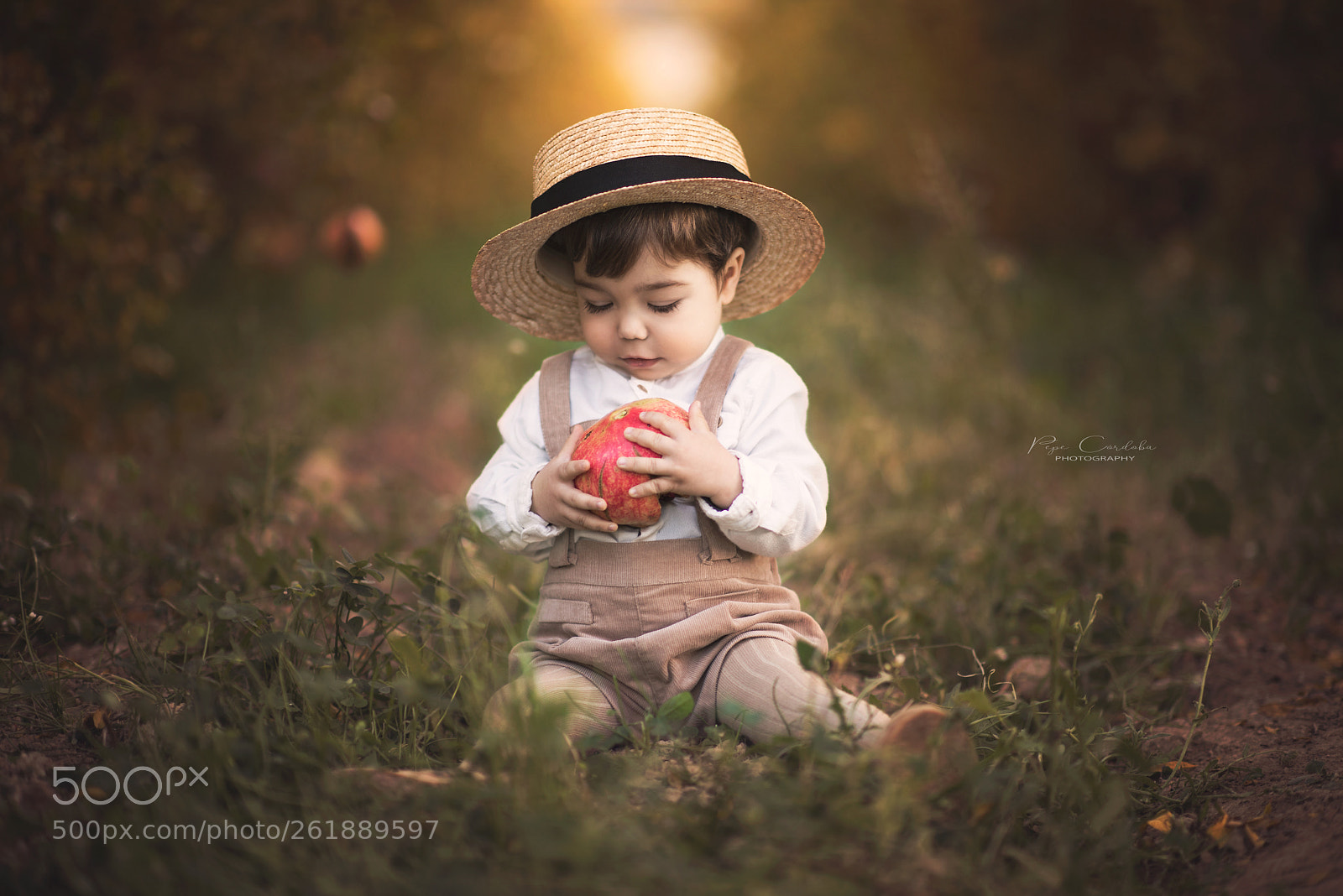 Nikon D810 sample photo. Daniel and the pomegranate photography
