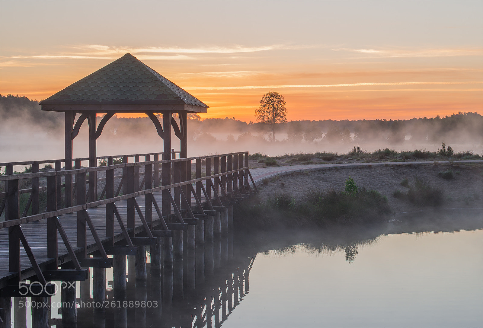 Nikon D610 sample photo. Misty lake - part5 photography