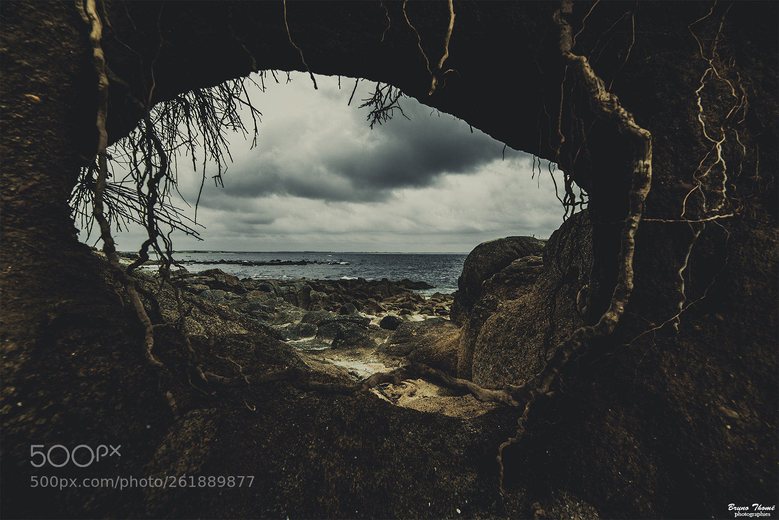 Pentax K-1 sample photo. Inside the burrow photography