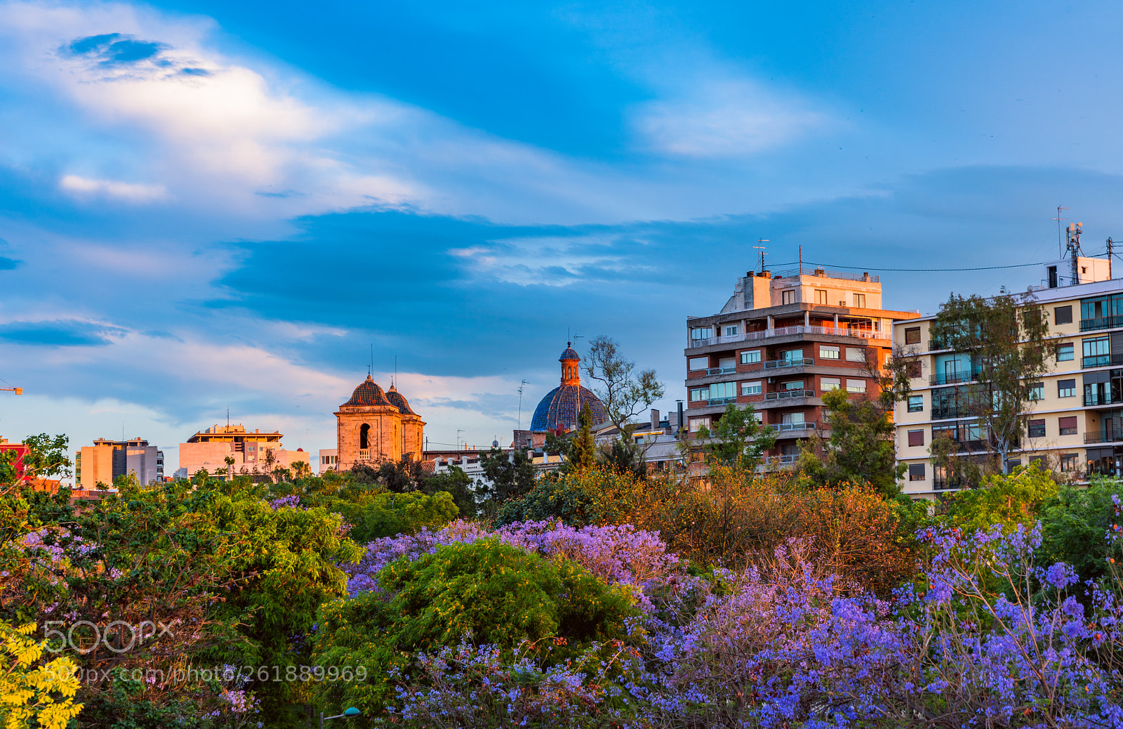 Sony a99 II sample photo. Flowering trees in the photography