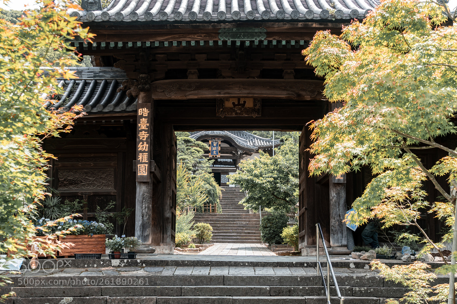 Sony a6300 sample photo. Way up to the photography