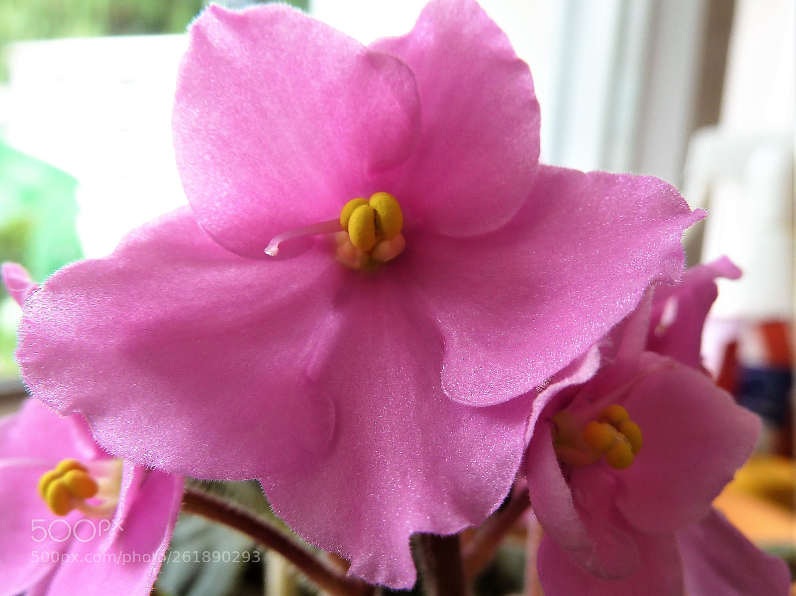 Panasonic Lumix DMC-ZS5 (Lumix DMC-TZ8) sample photo. K chenbl mi ist photography