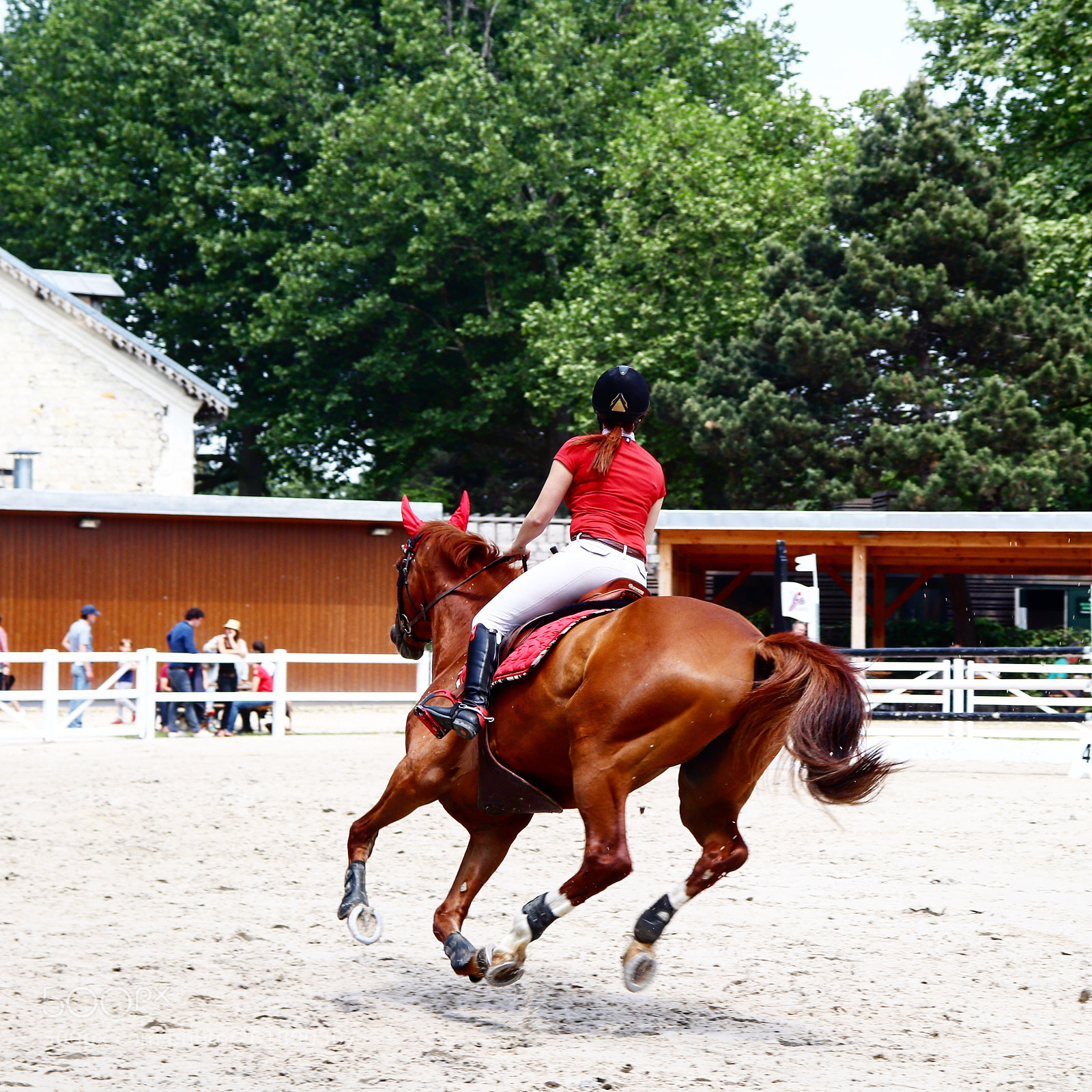 Canon EOS 77D (EOS 9000D / EOS 770D) sample photo. Équitation photography