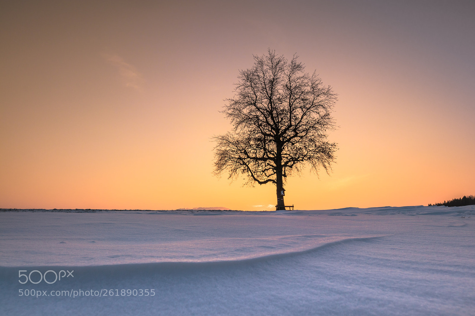 Canon EOS M6 sample photo. Cold sunset photography