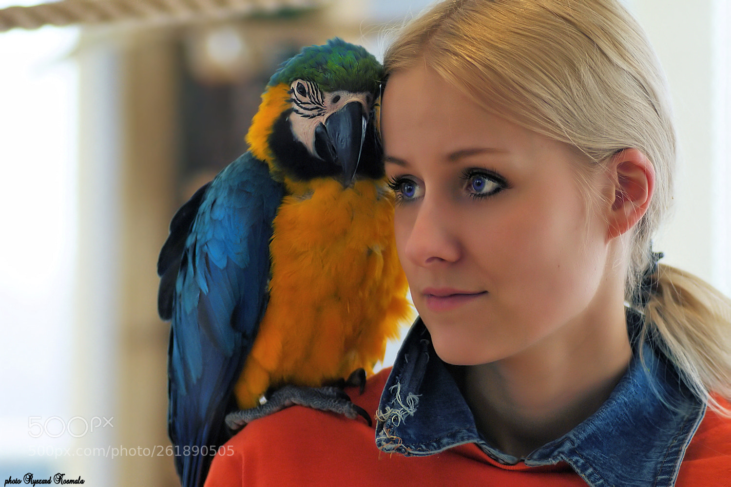 Sony Alpha DSLR-A300 sample photo. Girl with a parrot photography
