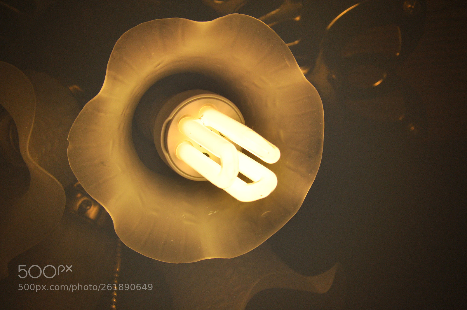 Nikon D90 sample photo. Lamp_3525 (4) photography