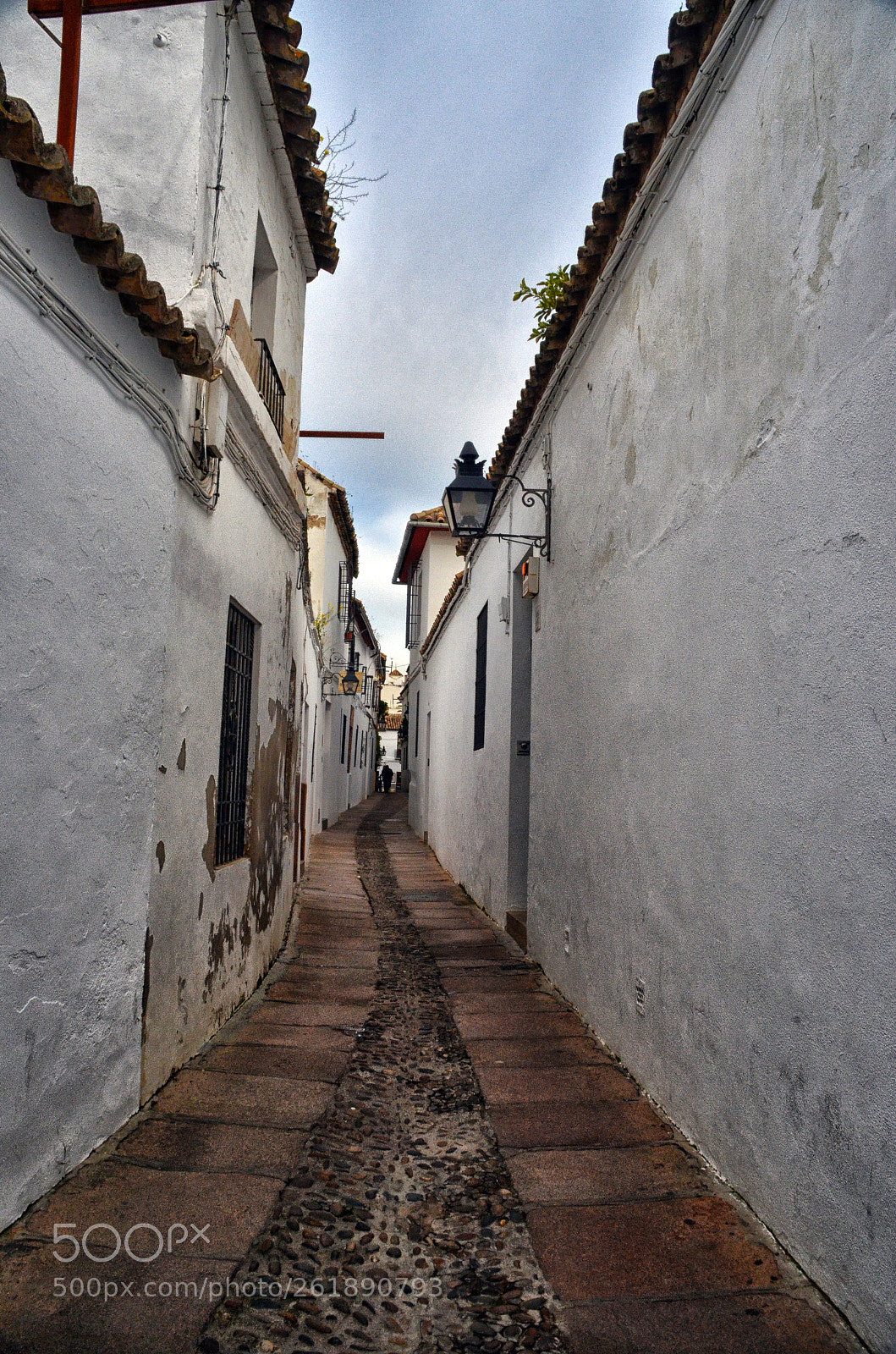 Nikon D7000 sample photo. Calle judios photography