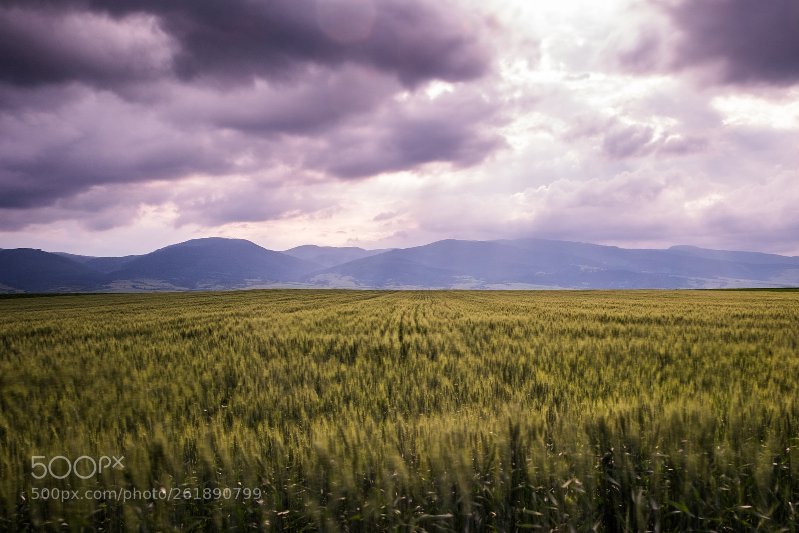 Fujifilm X-T10 sample photo. Before the rain photography