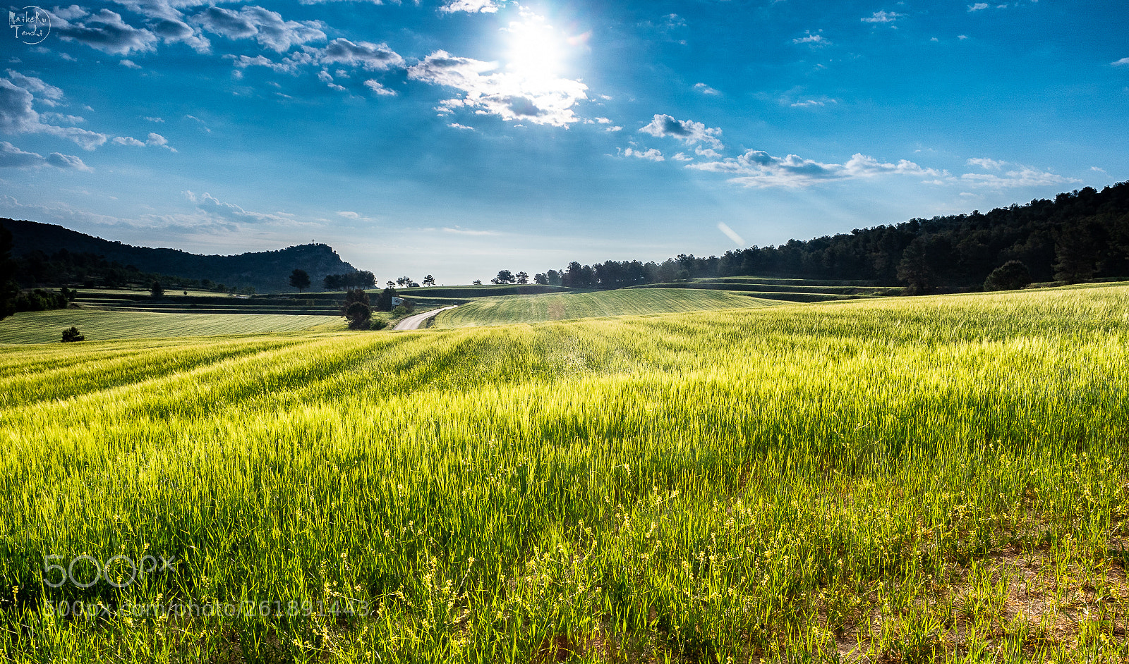 Olympus OM-D E-M5 II sample photo. Xpand photography