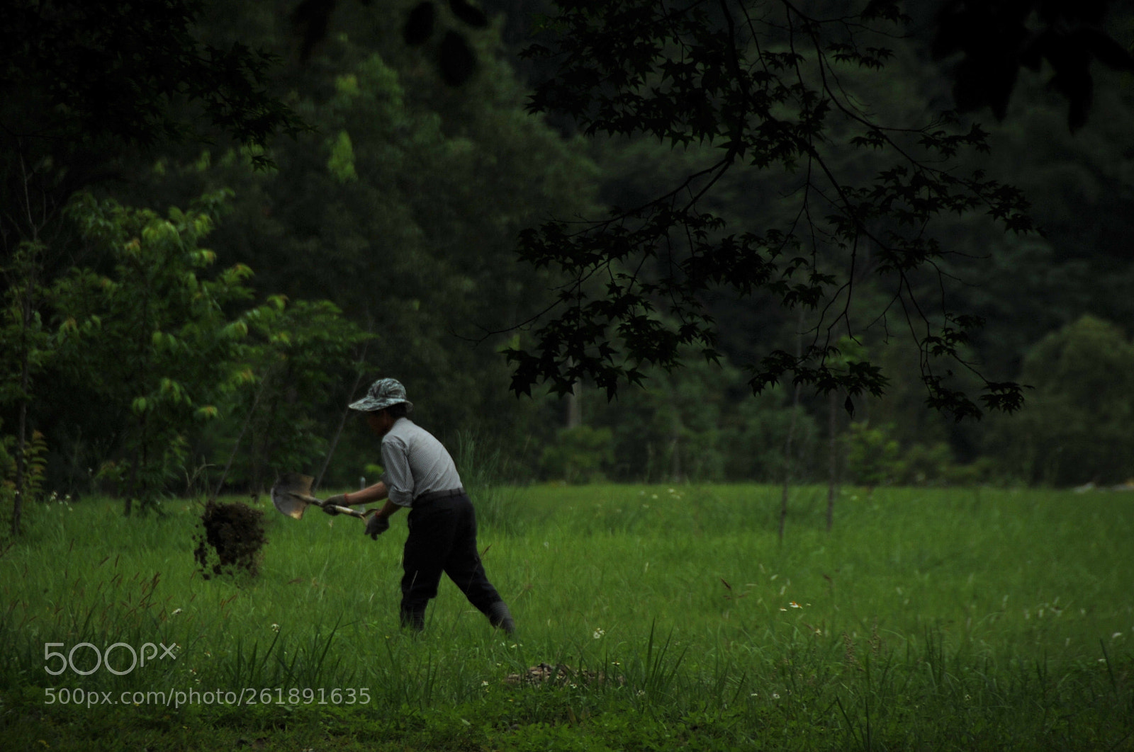 Nikon D3S sample photo. .. photography