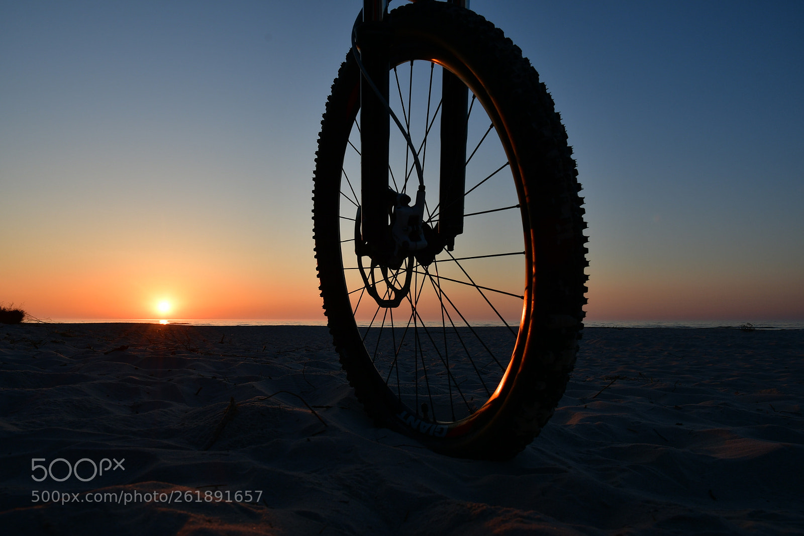Nikon D500 sample photo. A bicycle on the photography