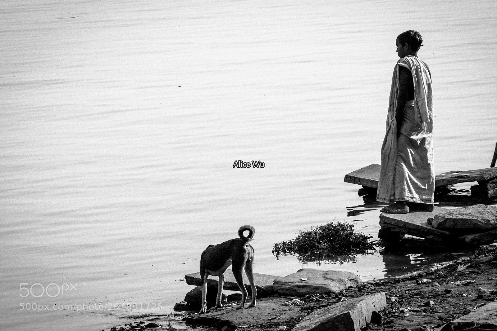 Sony a7R sample photo. Untitled photography