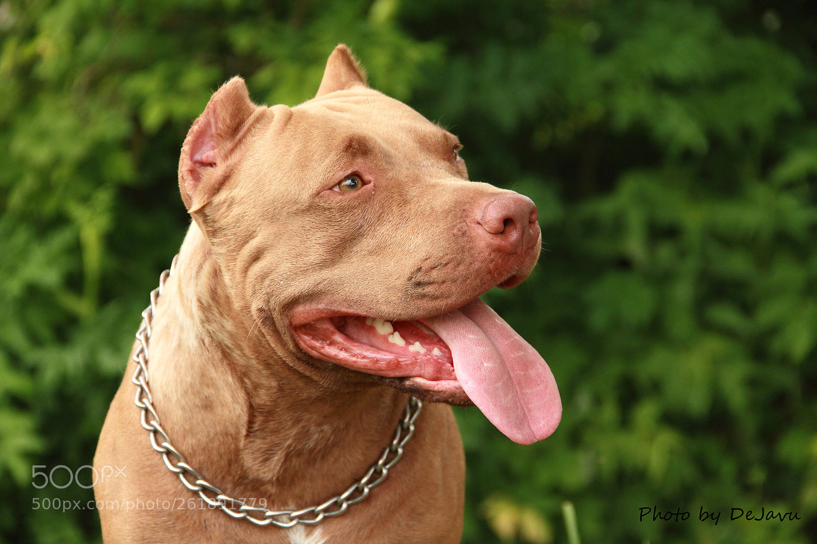 Canon EOS 7D sample photo. Bonny photography