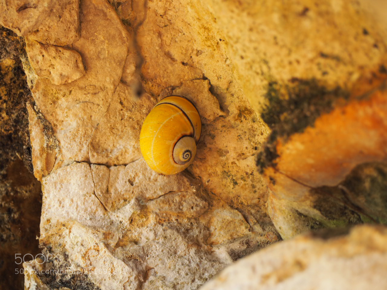Olympus OM-D E-M10 sample photo. Baracoa cuba photography